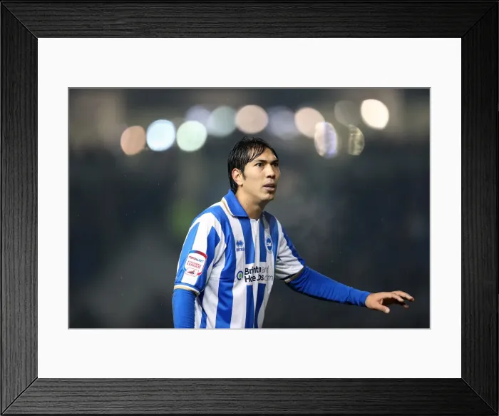 Framed Print : Leonardo Ulloa Framed Print : Leonardo Ulloa