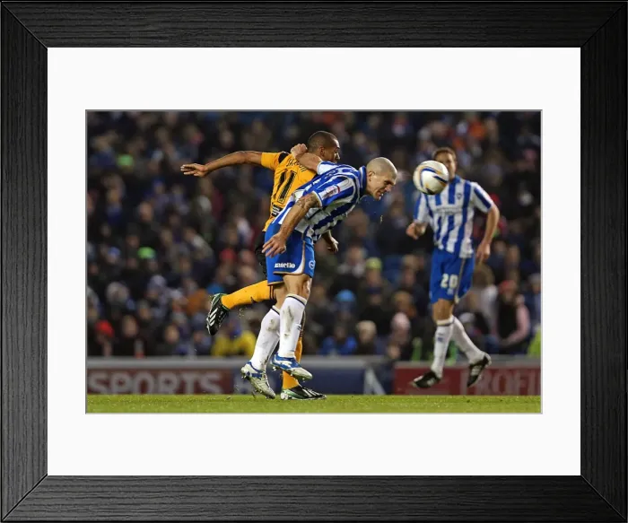 Framed Print : Brighton & Hove Albion vs. Hull City (09-02-2013): 2012-13 Home Game Framed Print : Brighton & Hove Albion vs. Hull City (09-02-2013): 2012-13 Home Game