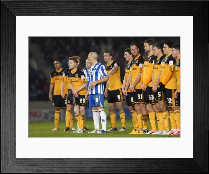 Framed Print : Brighton & Hove Albion vs. Hull City (09-02-2013): A Past Season Home Game Framed Print : Brighton & Hove Albion vs. Hull City (09-02-2013): A Past Season Home Game