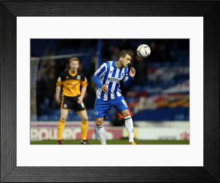 Framed Print : Brighton & Hove Albion vs. Hull City: 2012-13 Home Game Framed Print : Brighton & Hove Albion vs. Hull City: 2012-13 Home Game