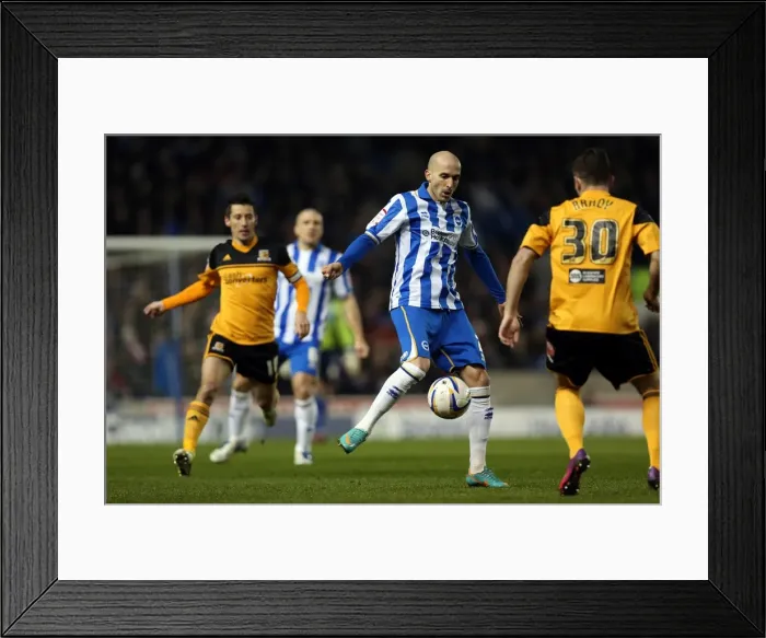 Framed Print : Brighton & Hove Albion vs. Hull City (09-02-2013) - A Peek into the 2012-13 Home Season Framed Print : Brighton & Hove Albion vs. Hull City (09-02-2013) - A Peek into the 2012-13 Home Season