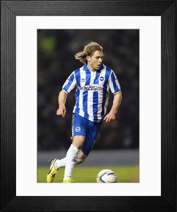 Framed Print : Brighton & Hove Albion vs. Hull City: 2012-13 Home Match Framed Print : Brighton & Hove Albion vs. Hull City: 2012-13 Home Match