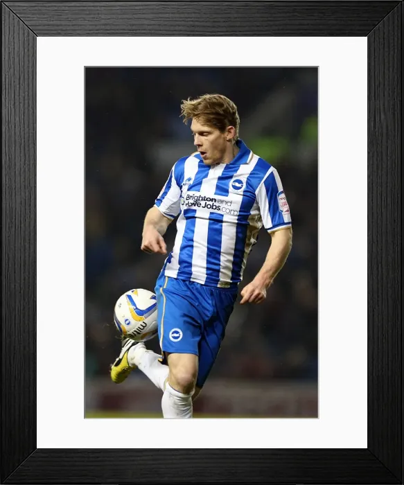 Framed Print : Brighton & Hove Albion vs. Hull City (09-02-2013): A Peek into the 2012-13 Home Season Framed Print : Brighton & Hove Albion vs. Hull City (09-02-2013): A Peek into the 2012-13 Home Season