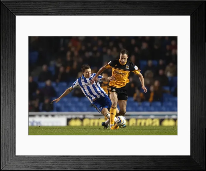 Framed Print : Brighton & Hove Albion vs. Hull City: 2012-13 Home Match Framed Print : Brighton & Hove Albion vs. Hull City: 2012-13 Home Match