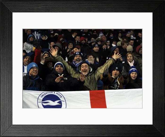 Framed Print : Brighton & Hove Albion vs. Hull City: Home Game - 09-02-2013 Framed Print : Brighton & Hove Albion vs. Hull City: Home Game - 09-02-2013