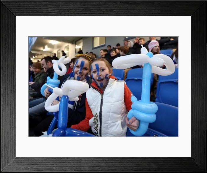 Framed Print : Electric Atmosphere: Brighton & Hove Albion Crowd Shots (2012-13) - The Amex Framed Print : Electric Atmosphere: Brighton & Hove Albion Crowd Shots (2012-13) - The Amex