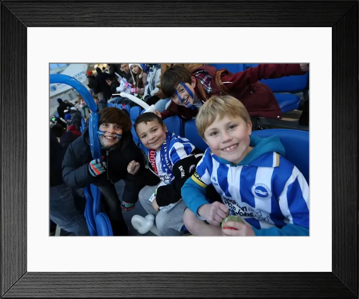 Framed Print : Brighton & Hove Albion FC: Electric Atmosphere - The Amex Crowd Shots (2012-2013) Framed Print : Brighton & Hove Albion FC: Electric Atmosphere - The Amex Crowd Shots (2012-2013)