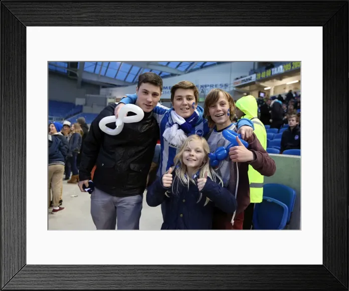 Framed Print : Brighton & Hove Albion: The Electric Amex Stadium Crowd (2012-2013) Framed Print : Brighton & Hove Albion: The Electric Amex Stadium Crowd (2012-2013)
