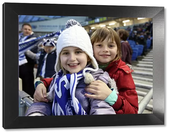 Electric Atmosphere at the Amex: Brighton & Hove Albion FC Crowd Shots (2012-2013)
