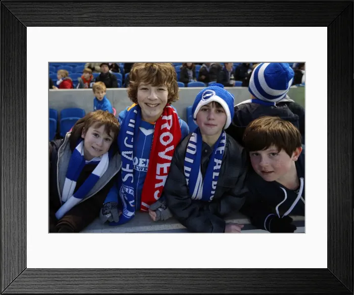 Framed Print : Brighton & Hove Albion FC: Electric Atmosphere at the Amex Stadium (2012-2013) - Crowd Shots Framed Print : Brighton & Hove Albion FC: Electric Atmosphere at the Amex Stadium (2012-2013) - Crowd Shots