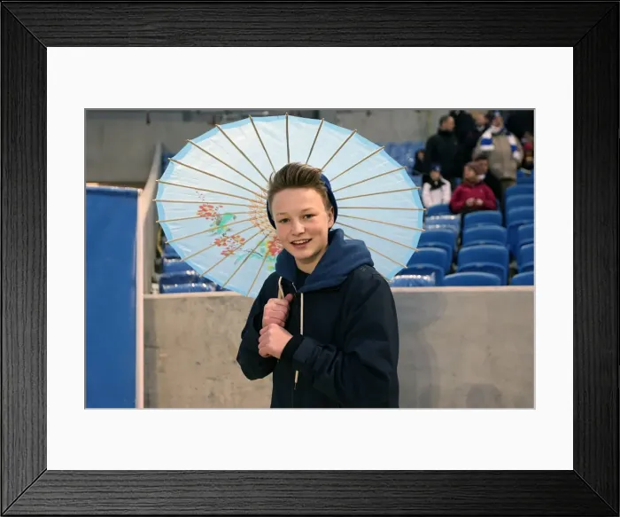 Framed Print : A Glimpse into Brighton & Hove Albion's 2012-13 Home Season: Hull City (09-02-2013)