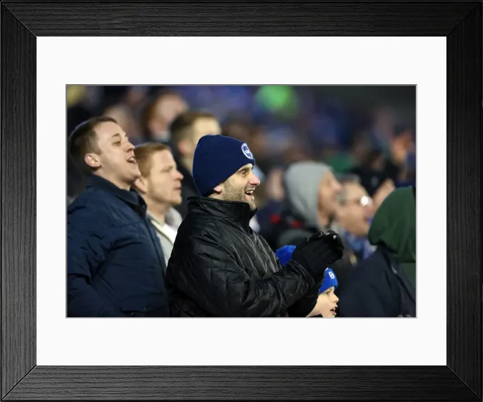 Framed Print : Brighton & Hove Albion vs. Hull City: 2012-13 Home Match Framed Print : Brighton & Hove Albion vs. Hull City: 2012-13 Home Match