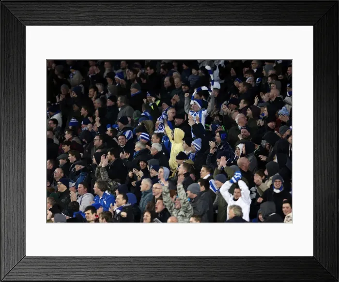 Framed Print : Brighton & Hove Albion vs. Hull City: 2012-13 Home Game Framed Print : Brighton & Hove Albion vs. Hull City: 2012-13 Home Game