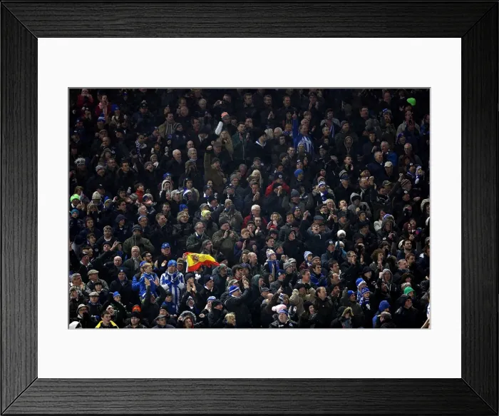 Framed Print : Brighton & Hove Albion vs. Hull City (09-02-2013) - A Glance at the 2012-13 Home Season Framed Print : Brighton & Hove Albion vs. Hull City (09-02-2013) - A Glance at the 2012-13 Home Season