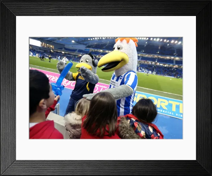 Framed Print : Brighton & Hove Albion vs. Hull City: 2012-13 Home Game Framed Print : Brighton & Hove Albion vs. Hull City: 2012-13 Home Game