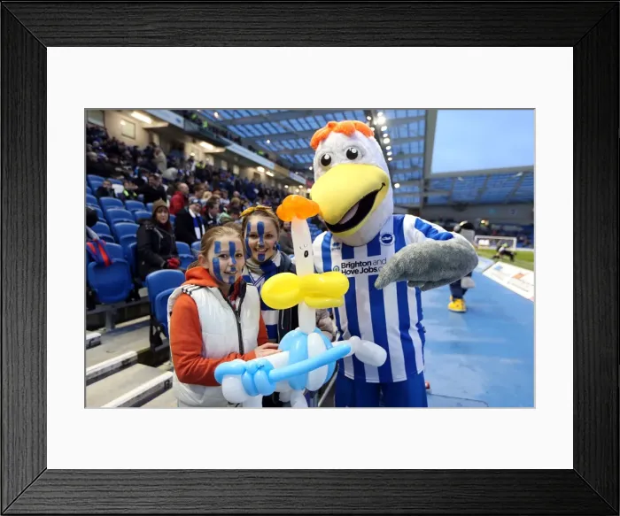 Framed Print : Thrilling Crowds at Brighton & Hove Albion's The Amex Stadium (2012-2013) Framed Print : Thrilling Crowds at Brighton & Hove Albion's The Amex Stadium (2012-2013)
