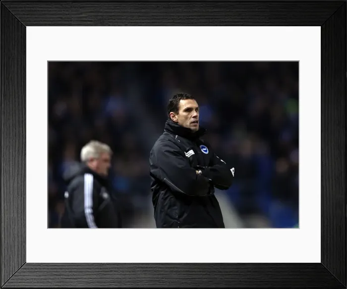 Framed Print : Brighton & Hove Albion vs. Hull City: 2012-13 Home Game Framed Print : Brighton & Hove Albion vs. Hull City: 2012-13 Home Game