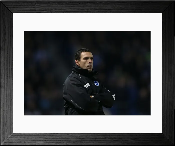 Framed Print : Brighton & Hove Albion vs. Hull City (09-02-2013): A Glance at Our 2012-13 Home Season Framed Print : Brighton & Hove Albion vs. Hull City (09-02-2013): A Glance at Our 2012-13 Home Season