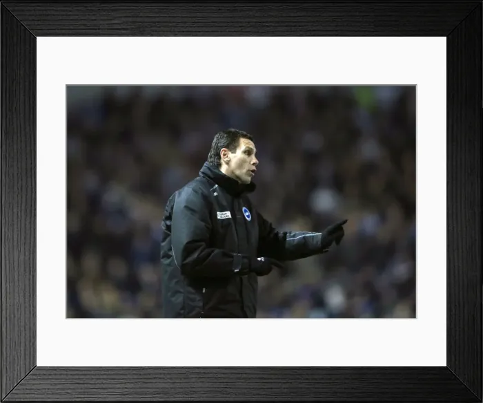 Framed Print : Brighton & Hove Albion vs. Hull City: Home Match - 09-02-2013 Framed Print : Brighton & Hove Albion vs. Hull City: Home Match - 09-02-2013