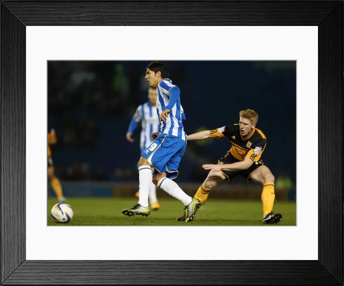 Framed Print : Brighton & Hove Albion vs. Hull City (09-02-2013): A Glimpse into the 2012-13 Home Season Framed Print : Brighton & Hove Albion vs. Hull City (09-02-2013): A Glimpse into the 2012-13 Home Season