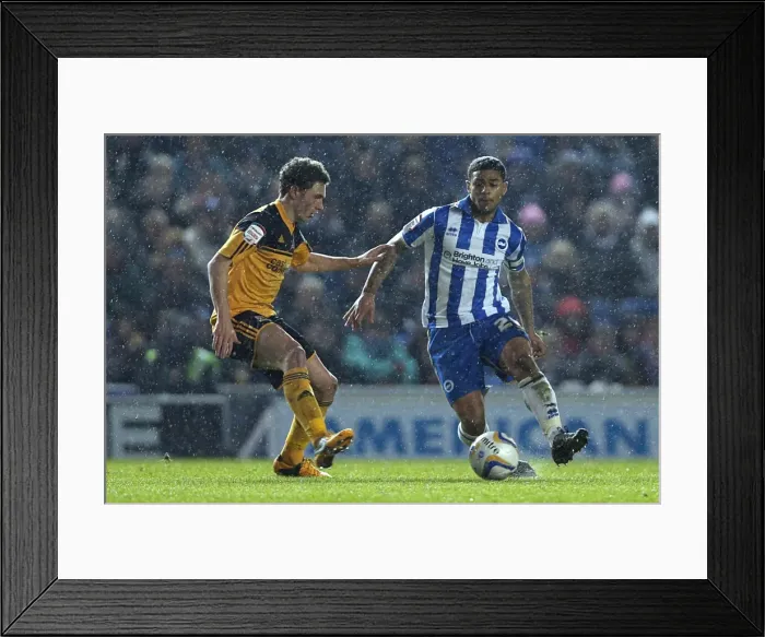 Framed Print : Brighton & Hove Albion vs. Hull City (2012-13): A Nostalgic Look Back at the 09-02-2013 Home Game Framed Print : Brighton & Hove Albion vs. Hull City (2012-13): A Nostalgic Look Back at the 09-02-2013 Home Game