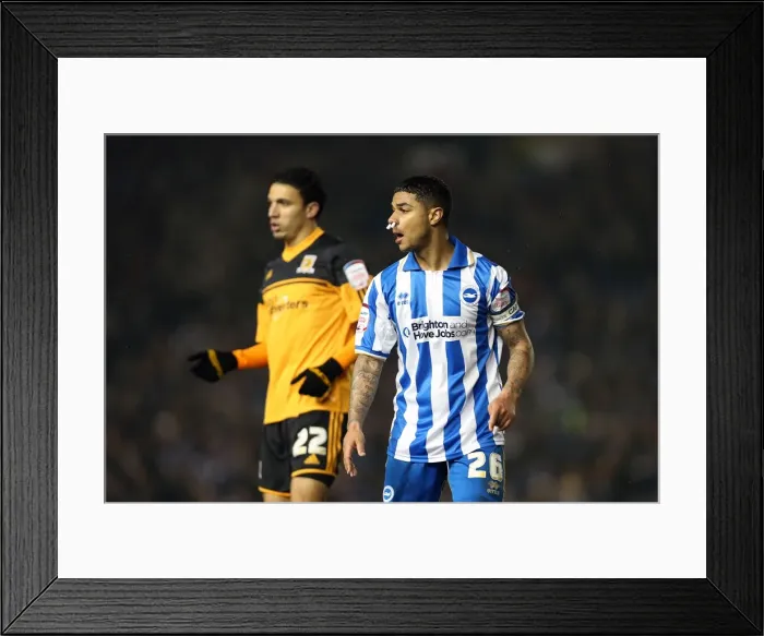 Framed Print : Brighton & Hove Albion vs. Hull City (2012-13) - Home Game Highlights: 09-02-2013 Framed Print : Brighton & Hove Albion vs. Hull City (2012-13) - Home Game Highlights: 09-02-2013