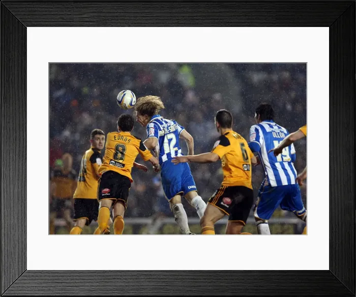 Framed Print : Brighton & Hove Albion vs. Hull City: February 9, 2013 - A Home Season Clash Framed Print : Brighton & Hove Albion vs. Hull City: February 9, 2013 - A Home Season Clash