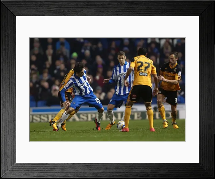 Framed Print : Brighton & Hove Albion vs. Hull City (2012-13 Season): A Nostalgic Look Back at Our Past Home Game - 09-02-2013