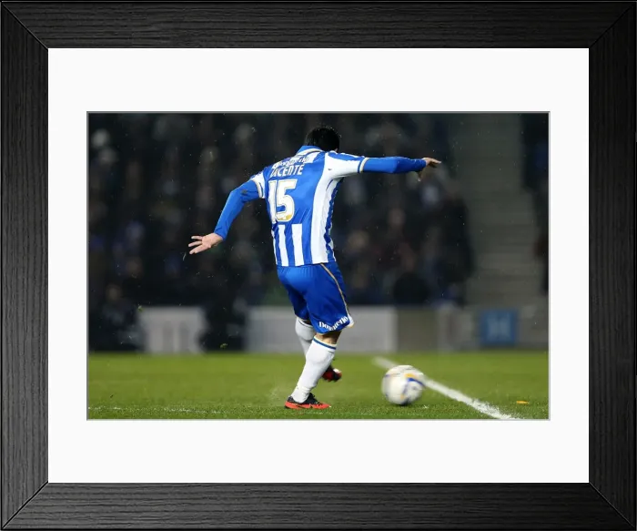 Framed Print : Brighton & Hove Albion vs. Hull City: 2012-13 Home Game Framed Print : Brighton & Hove Albion vs. Hull City: 2012-13 Home Game