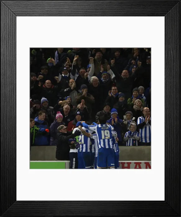 Framed Print : Brighton & Hove Albion vs. Hull City: 2012-13 Home Game Framed Print : Brighton & Hove Albion vs. Hull City: 2012-13 Home Game