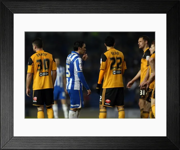 Framed Print : Brighton & Hove Albion vs. Hull City (2012-13 Season): A Glance at Our Past Home Game Framed Print : Brighton & Hove Albion vs. Hull City (2012-13 Season): A Glance at Our Past Home Game