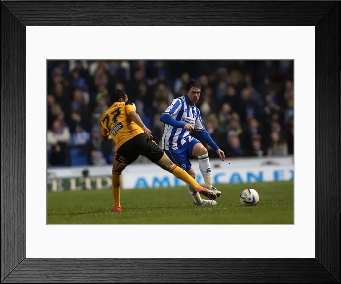 Framed Print : Brighton & Hove Albion vs. Hull City: 2012-13 Home Game Framed Print : Brighton & Hove Albion vs. Hull City: 2012-13 Home Game