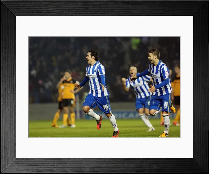 Framed Print : Brighton & Hove Albion vs. Hull City: 2012-13 Home Game Framed Print : Brighton & Hove Albion vs. Hull City: 2012-13 Home Game