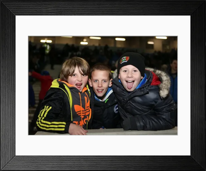 Framed Print : Brighton and Hove Albion: The Electric Amex Stadium Crowd (2012-2013) Framed Print : Brighton and Hove Albion: The Electric Amex Stadium Crowd (2012-2013)