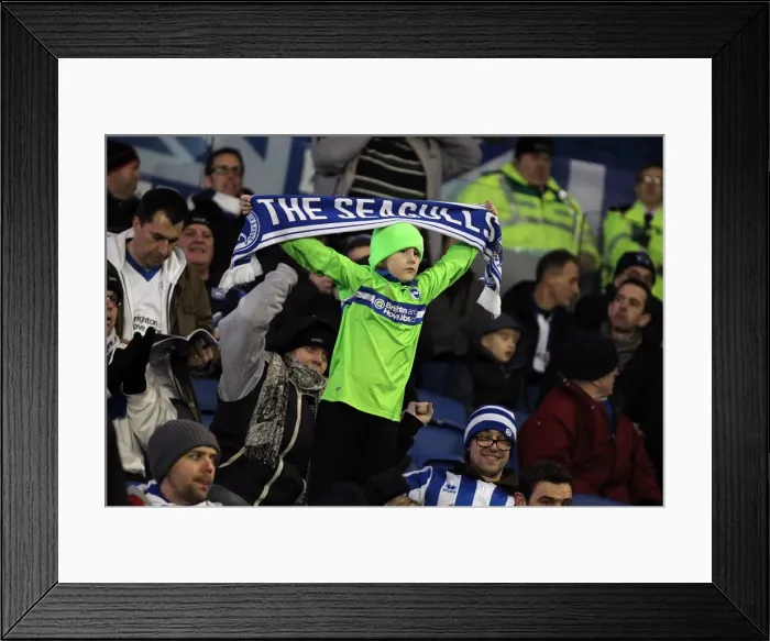 Framed Print : Brighton & Hove Albion FC: Electric Atmosphere at The Amex (2012-2013)