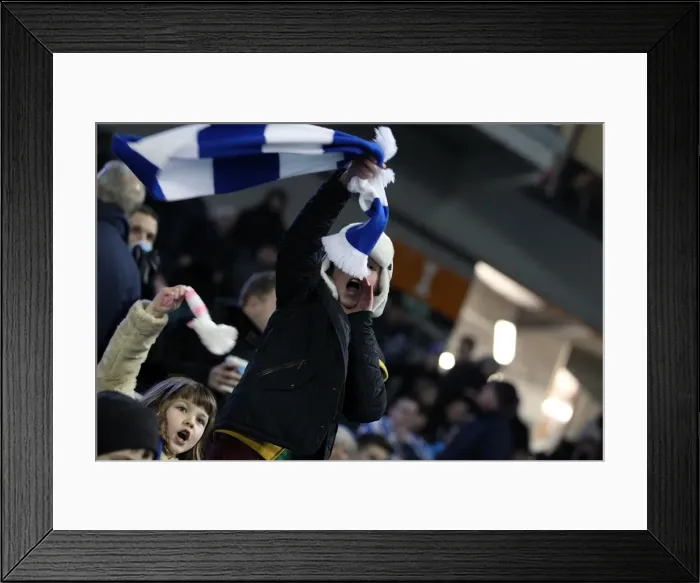 Framed Print : Brighton & Hove Albion vs. Blackburn Rovers: A Historic 2012-13 Match (February 12, 2013) - Home Game Framed Print : Brighton & Hove Albion vs. Blackburn Rovers: A Historic 2012-13 Match (February 12, 2013) - Home Game