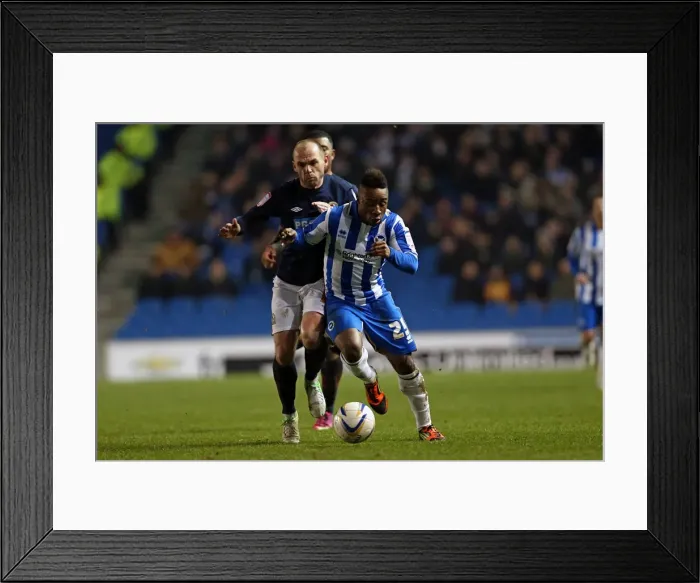 Framed Print : A Historic Home Victory: Brighton & Hove Albion vs. Blackburn Rovers (12-02-2013) - Memorable Moments from the 2012-13 Season Framed Print : A Historic Home Victory: Brighton & Hove Albion vs. Blackburn Rovers (12-02-2013) - Memorable Moments from the 2012-13 Season