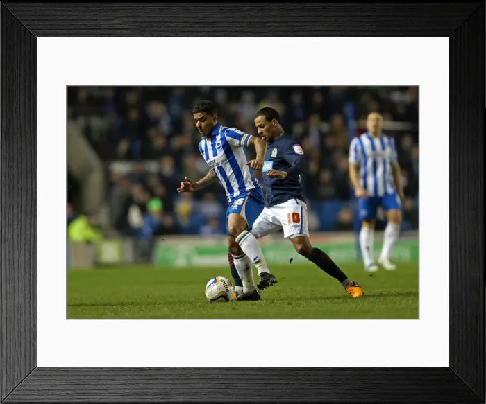Framed Print : A Memorable Victory: Brighton & Hove Albion vs. Blackburn Rovers (12-02-2013) - The Historic Home Game of the 2012-13 Season Framed Print : A Memorable Victory: Brighton & Hove Albion vs. Blackburn Rovers (12-02-2013) - The Historic Home Game of the 2012-13 Season