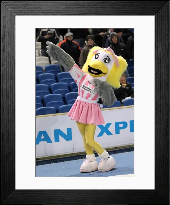 Framed Print : Brighton & Hove Albion vs. Blackburn Rovers: A Historic 12-2-2013 Home Game, 2012-13 Season Framed Print : Brighton & Hove Albion vs. Blackburn Rovers: A Historic 12-2-2013 Home Game, 2012-13 Season