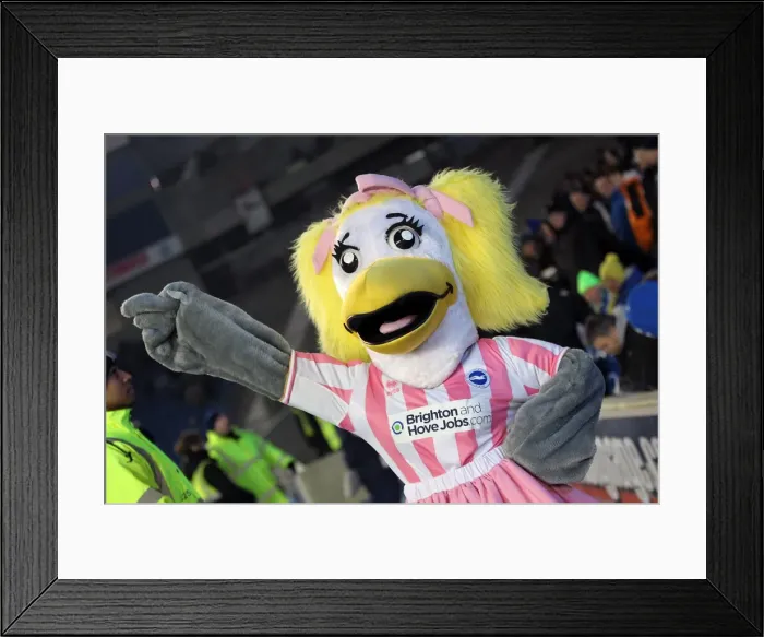 Framed Print : Brighton & Hove Albion vs. Blackburn Rovers: A Historic 2012-13 Home Game