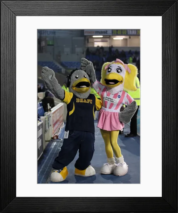 Framed Print : Brighton & Hove Albion vs. Blackburn Rovers: A Historic 2012-13 Home Match