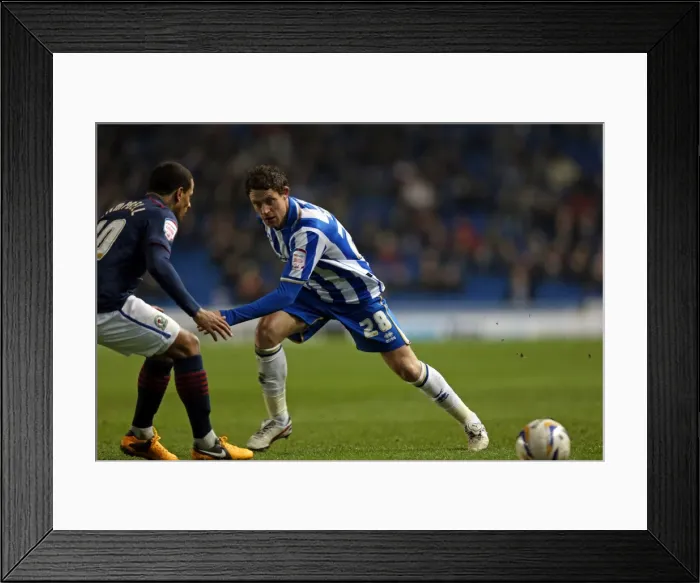 Framed Print : A Memorable Game: Brighton & Hove Albion vs. Blackburn Rovers (12-02-2013) - 2012-13 Season: The Thrilling Home Encounter Framed Print : A Memorable Game: Brighton & Hove Albion vs. Blackburn Rovers (12-02-2013) - 2012-13 Season: The Thrilling Home Encounter