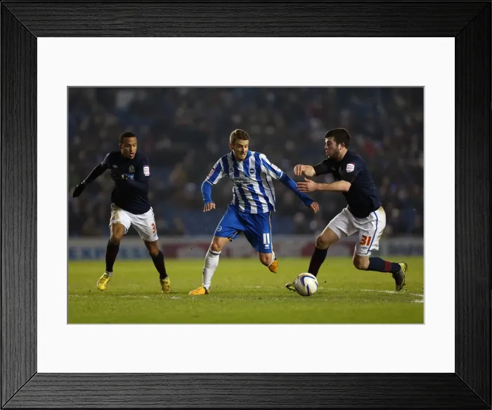 Framed Print : Andrea Orlandi in Action: Brighton & Hove Albion vs. Blackburn Rovers, Npower Championship, Amex Stadium, February 12, 2013 Framed Print : Andrea Orlandi in Action: Brighton & Hove Albion vs. Blackburn Rovers, Npower Championship, Amex Stadium, February 12, 2013