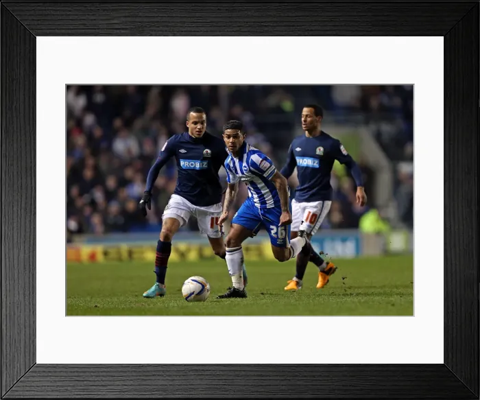 Framed Print : Liam Bridcutt's Intense Performance: Brighton & Hove Albion vs Blackburn Rovers, Npower Championship, Amex Stadium, February 12, 2013 Framed Print : Liam Bridcutt's Intense Performance: Brighton & Hove Albion vs Blackburn Rovers, Npower Championship, Amex Stadium, February 12, 2013