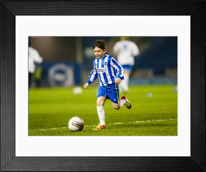 Framed Print : Blackburn-7545 Framed Print : Blackburn-7545