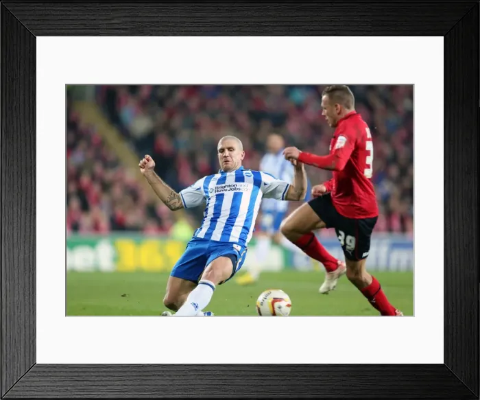 Framed Print : Cardiff Brighton 130219 Framed Print : Cardiff Brighton 130219