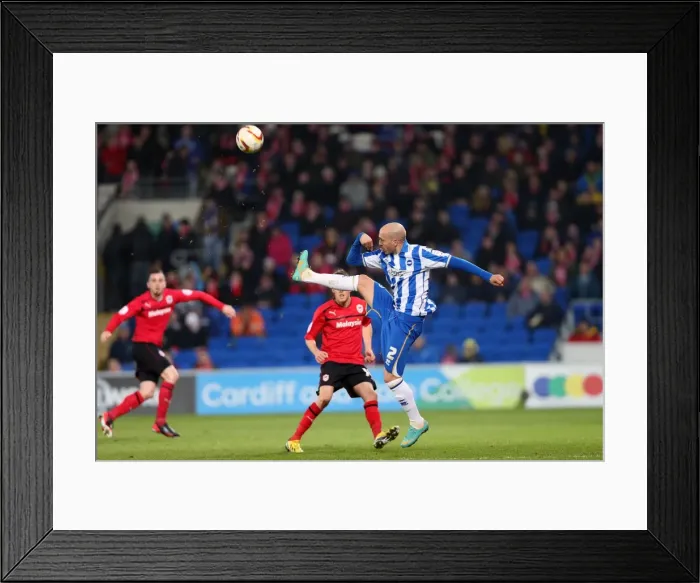 Framed Print : Bruno Clears Danger: Cardiff vs. Brighton & Hove Albion, Npower Championship, 19th February 2013 Framed Print : Bruno Clears Danger: Cardiff vs. Brighton & Hove Albion, Npower Championship, 19th February 2013