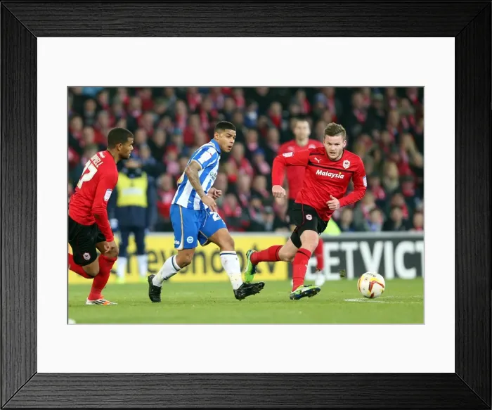 Framed Print : Brighton & Hove Albion's Liam Bridcutt in Action Against Cardiff City (February 19, 2013) Framed Print : Brighton & Hove Albion's Liam Bridcutt in Action Against Cardiff City (February 19, 2013)