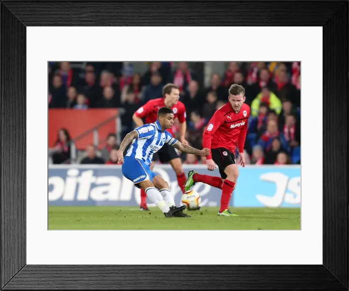 Framed Print : Liam Bridcutt in Action: Brighton & Hove Albion vs. Cardiff City, Npower Championship, February 19, 2013 Framed Print : Liam Bridcutt in Action: Brighton & Hove Albion vs. Cardiff City, Npower Championship, February 19, 2013