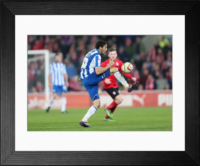 Framed Print : Brighton's Will Buckley in Action against Cardiff City, Npower Championship, February 19, 2013 Framed Print : Brighton's Will Buckley in Action against Cardiff City, Npower Championship, February 19, 2013